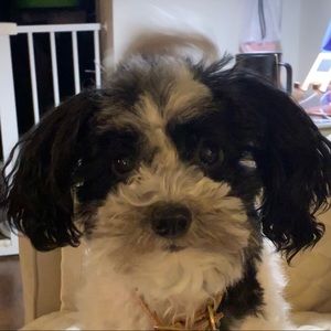 Meet your Posher, Erin